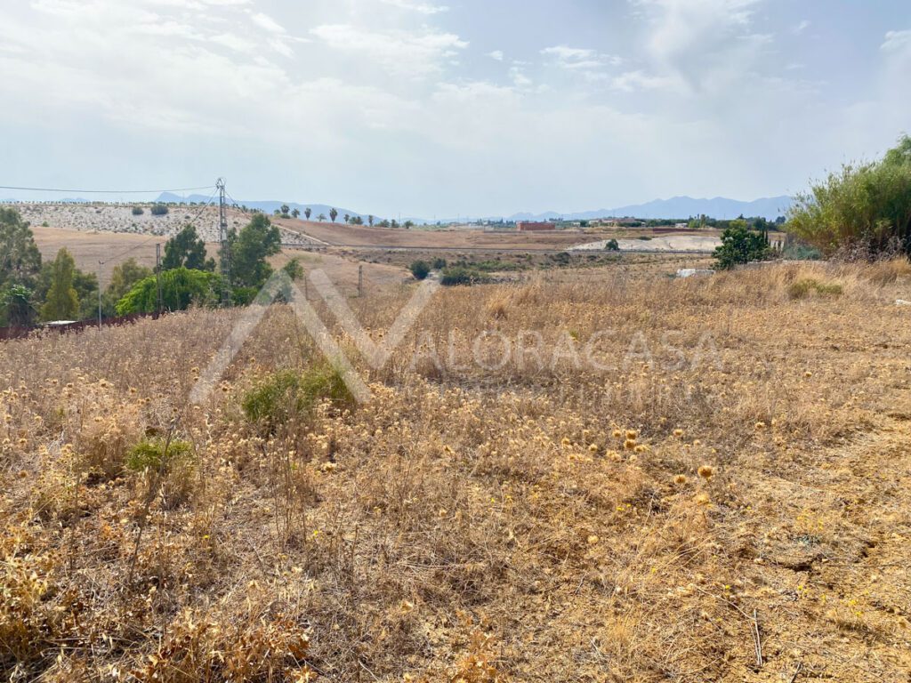 Parcela en casa palma 1