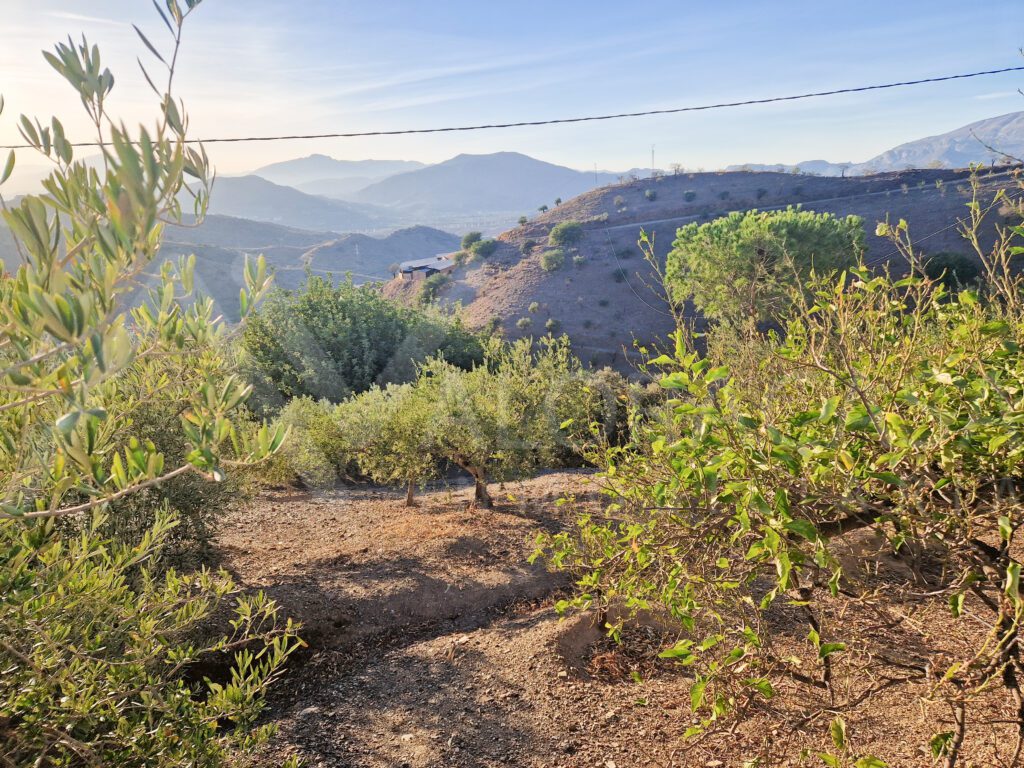 Casa en venta en Alora con terreno 15
