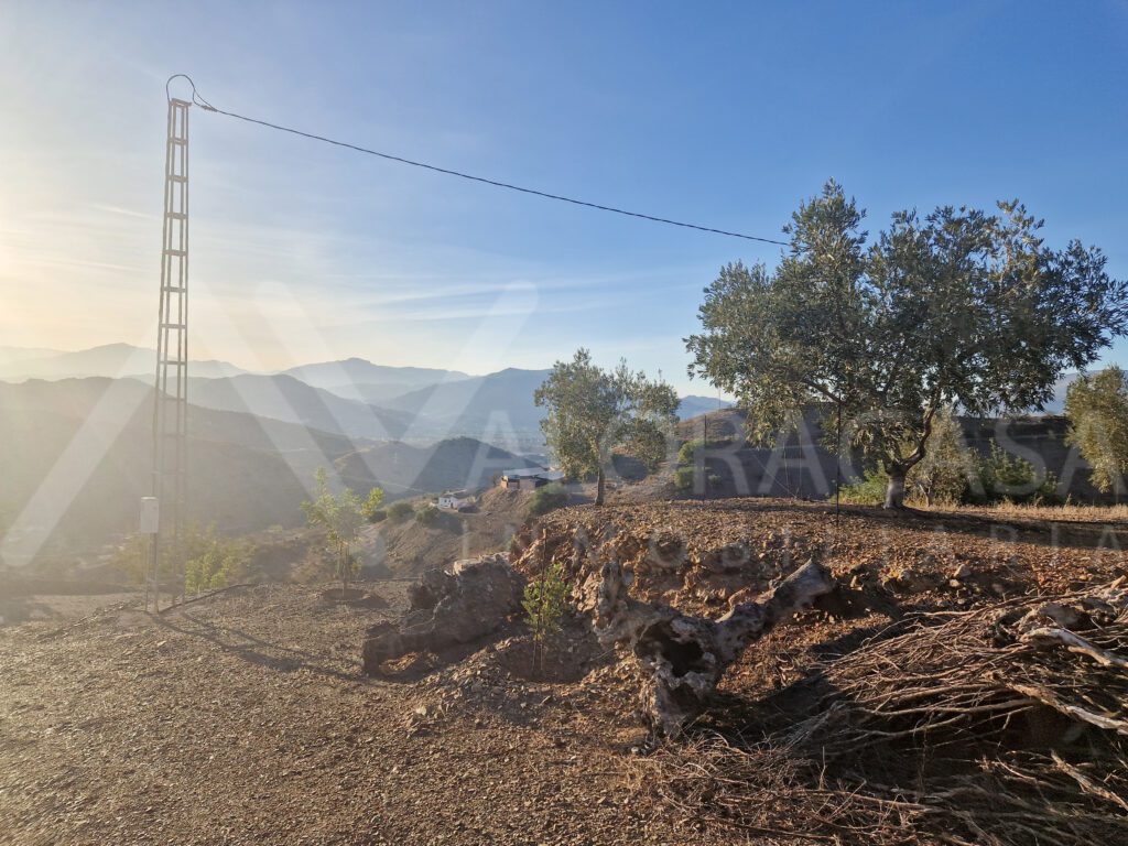 Casa en venta en Alora con terreno 16