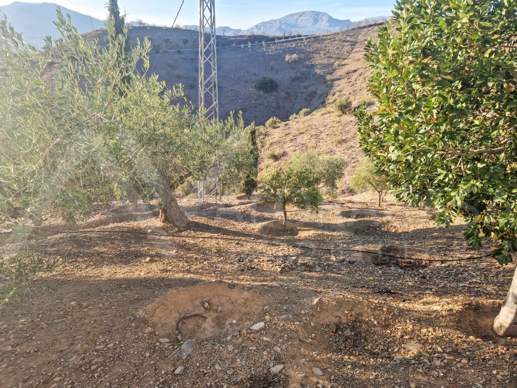 Casa en venta en Alora con terreno 8
