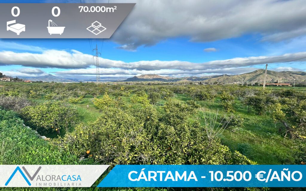 PLANTILLA PORTADA WEB EF10L