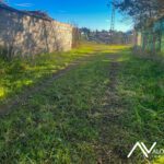 Fotos sin editar E65L 2