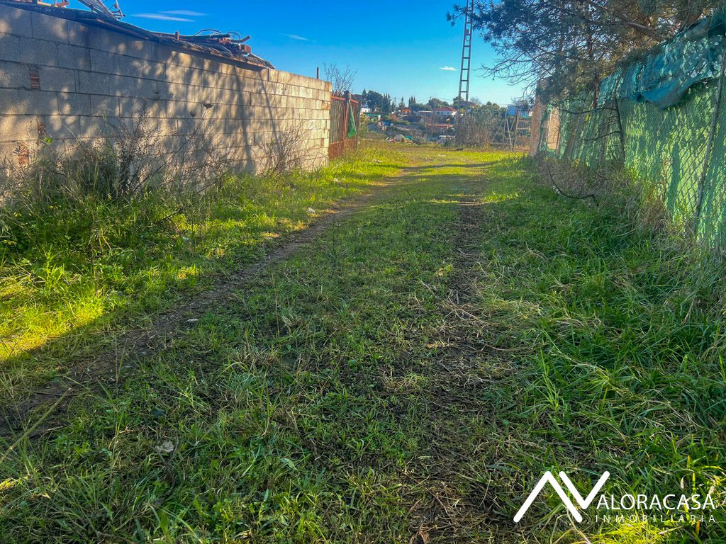 Fotos sin editar E65L 2