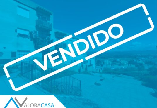 VENDIDO E196P