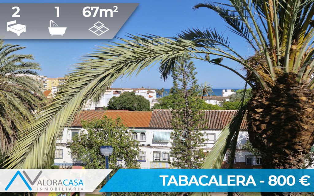 PLANTILLA VIVIENDAS