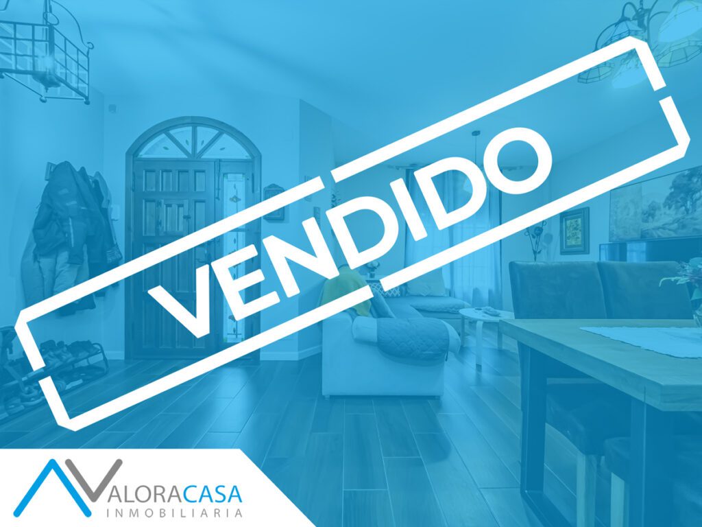 Vendido E299L WEB