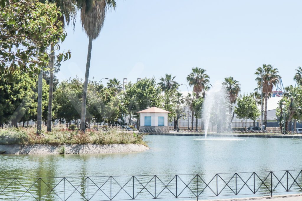 Huelin Malaga 5