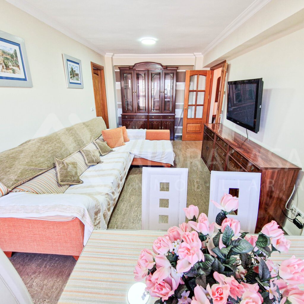 Piso en alquiler en Huelin 3 habitaciones 1 bano 9
