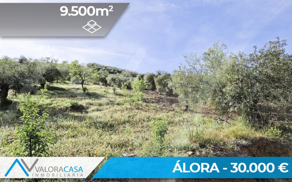 Terreno en venta en Alora