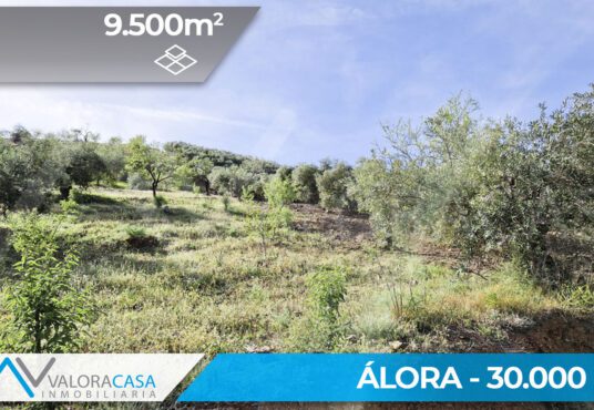 Terreno en venta en Alora