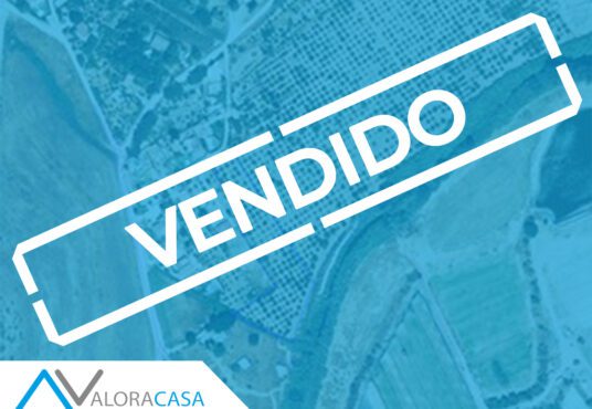 VENDIDO WEB 2