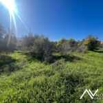 Terreno en venta en Cartama 10