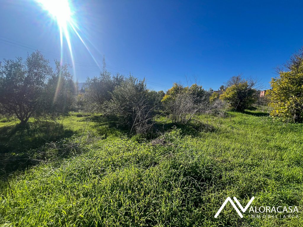 Terreno en venta en Cartama 10
