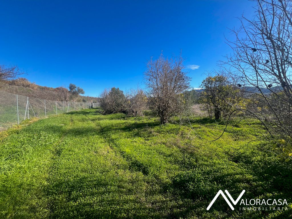 Terreno en venta en Cartama 4