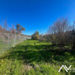 Terreno en venta en Cartama 6