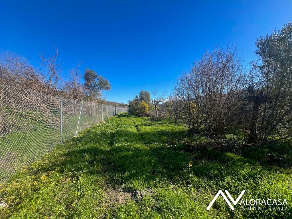 Terreno en venta en Cartama 6