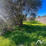 Terreno en venta en Cartama 8