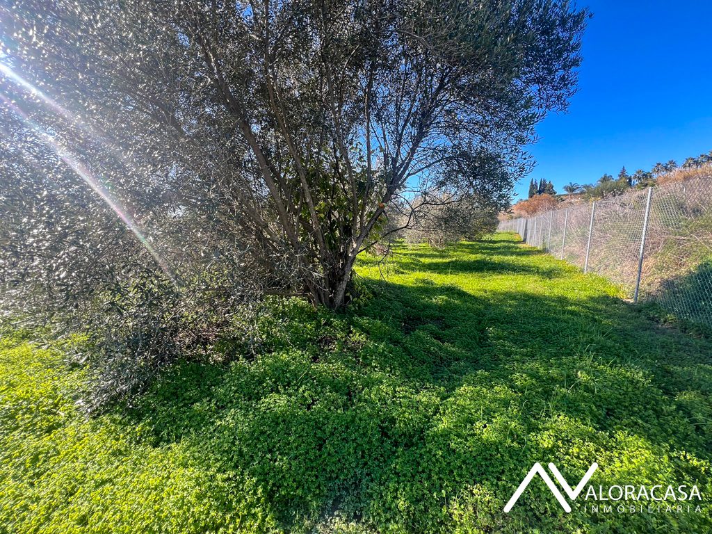Terreno en venta en Cartama 8