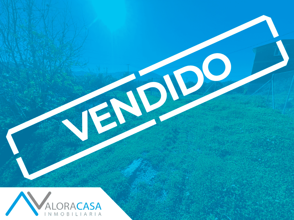 VENDIDO WEB 1