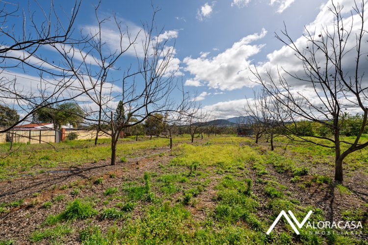 Finca en venta en Coin 12
