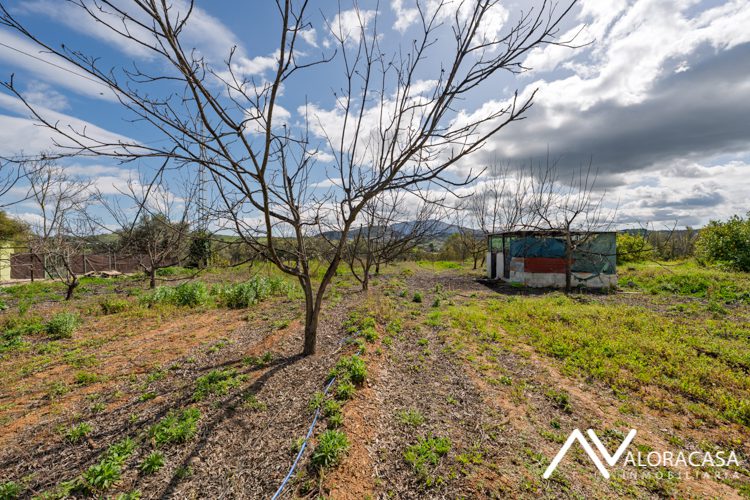 Finca en venta en Coin 13