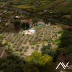 DJI 20260407163607 0045 D Editar