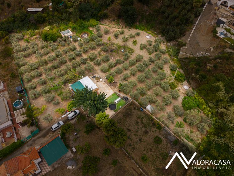 DJI 20260407163931 0051 D Editar